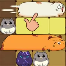 猫猫櫃臺