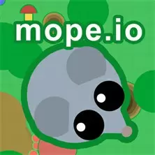 모페 io