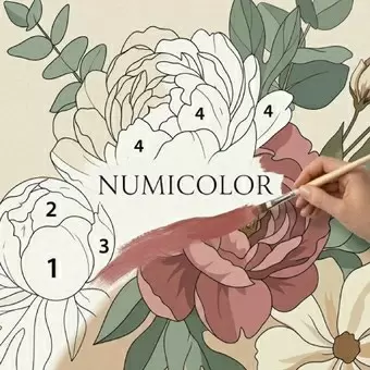 Numicolor는