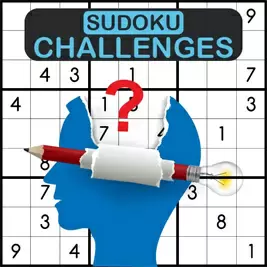 Sudoku Challenge