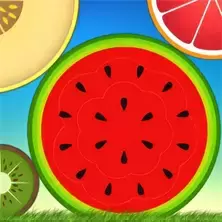 수박 게임