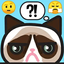 당신은 어떤 기억 고양이입니다