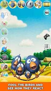 說話的鳥兒在電線