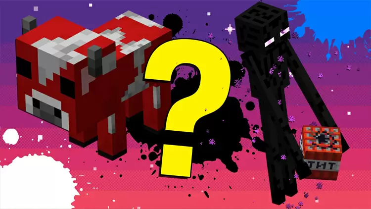 Minecraft中的主要貨幣名稱是什麼?