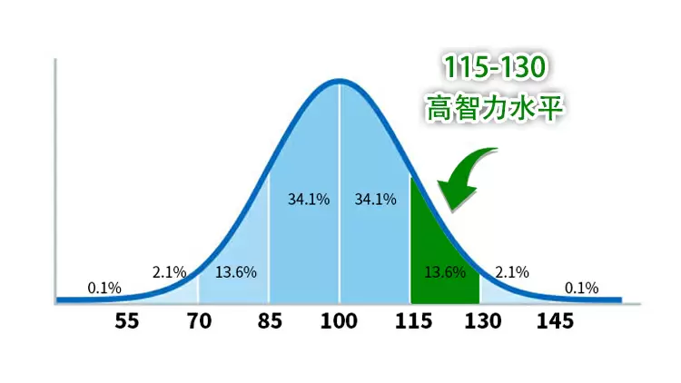 您具有高智力水平。