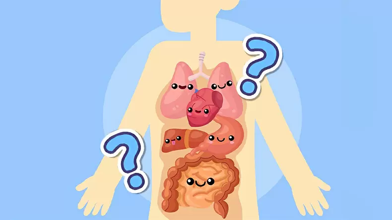 測試測一測你對人體的了解程度(據說只有5%的人能及格)