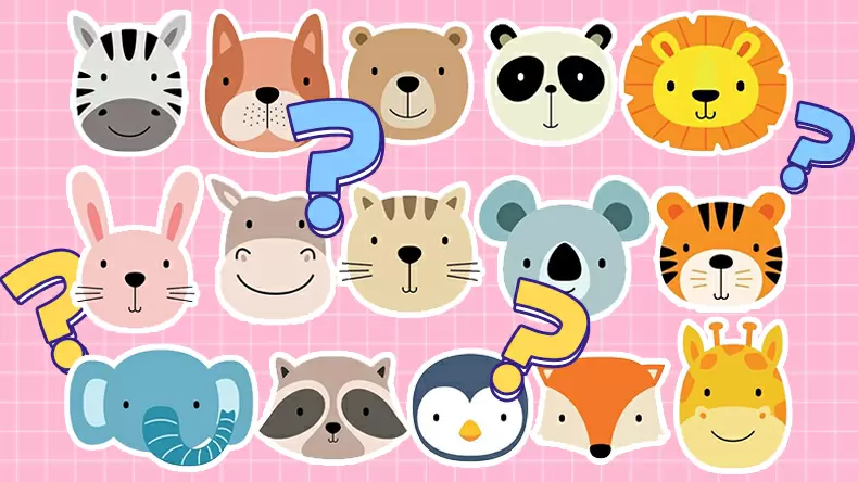 測試小動物冷知識問答
