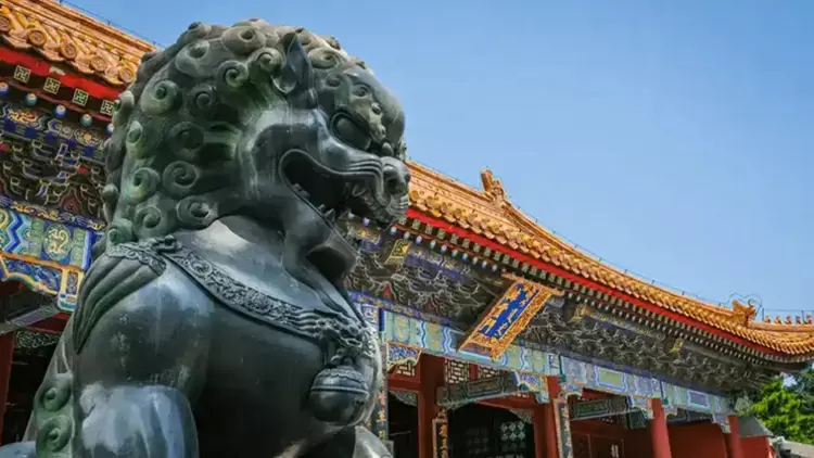 歷史知識儲備待加強