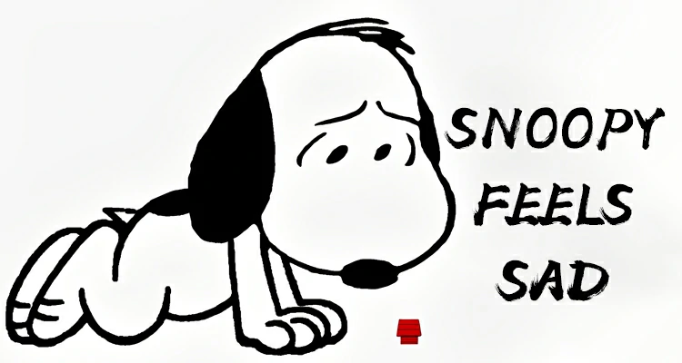 關於狗，還有很多事情你不知道。