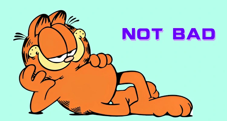 你對猫瞭解很多。