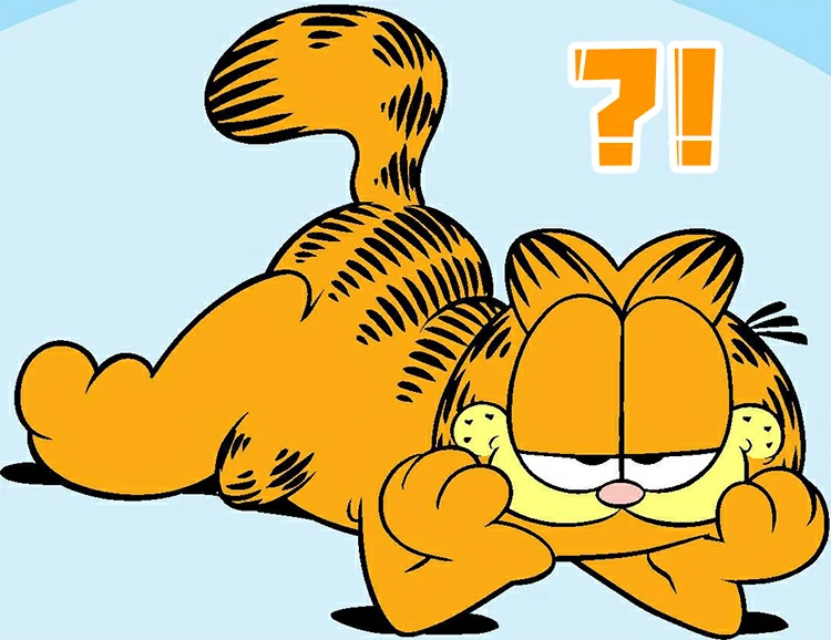 關於猫，還有很多事情你不知道。