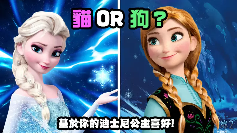 「貓系犬系性格測驗」你是貓派還是狗派？