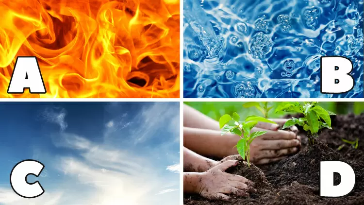 選擇一個元素：