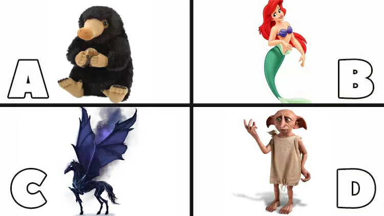 你最想與哪種魔法生物交朋友？