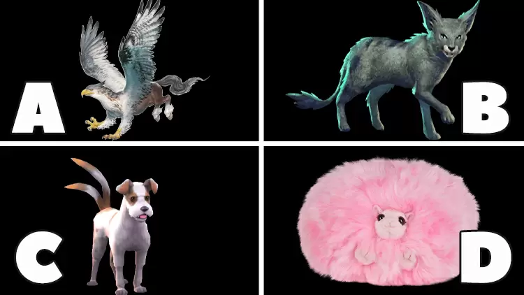 如果你能養一隻神奇的寵物，你會選擇哪一隻？