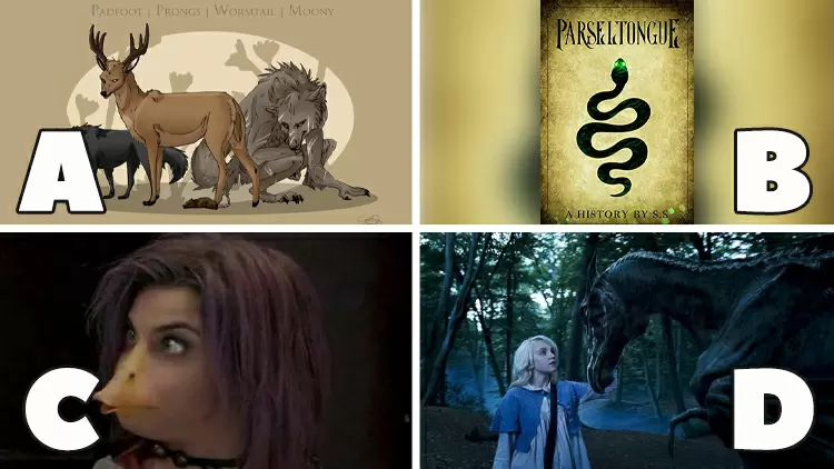 你最想擁有哪種魔法天賦？