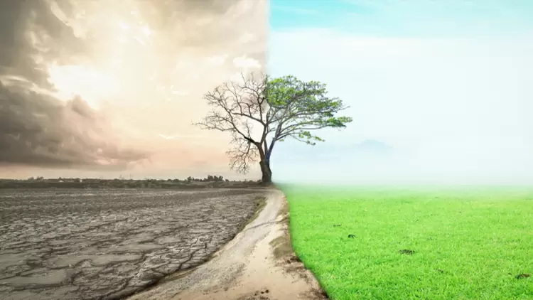 你最喜歡的季節是什麼？