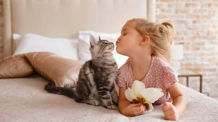 你最喜歡的動物是什麼？