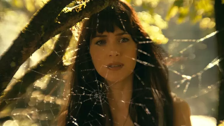 你得到了卡珊德拉·“卡西”·韋布/韋布夫人