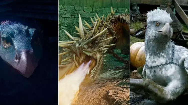 你最喜歡的魔法生物是什麼?