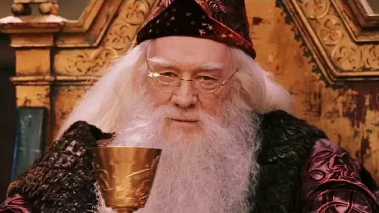 你最喜歡《哈利·波特》中的哪句話?