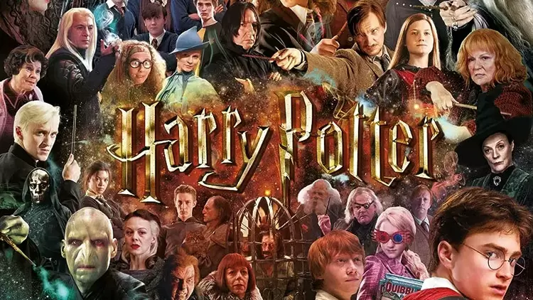 你會與以下哪位哈利·波特角色約會?