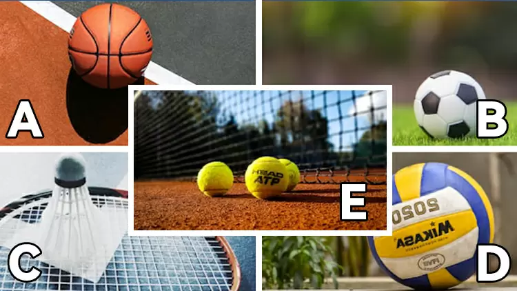 最後，選擇一項運動：