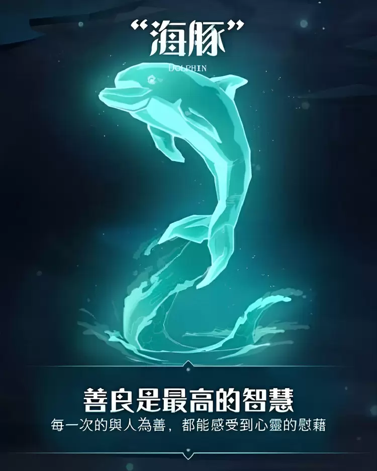 海豚