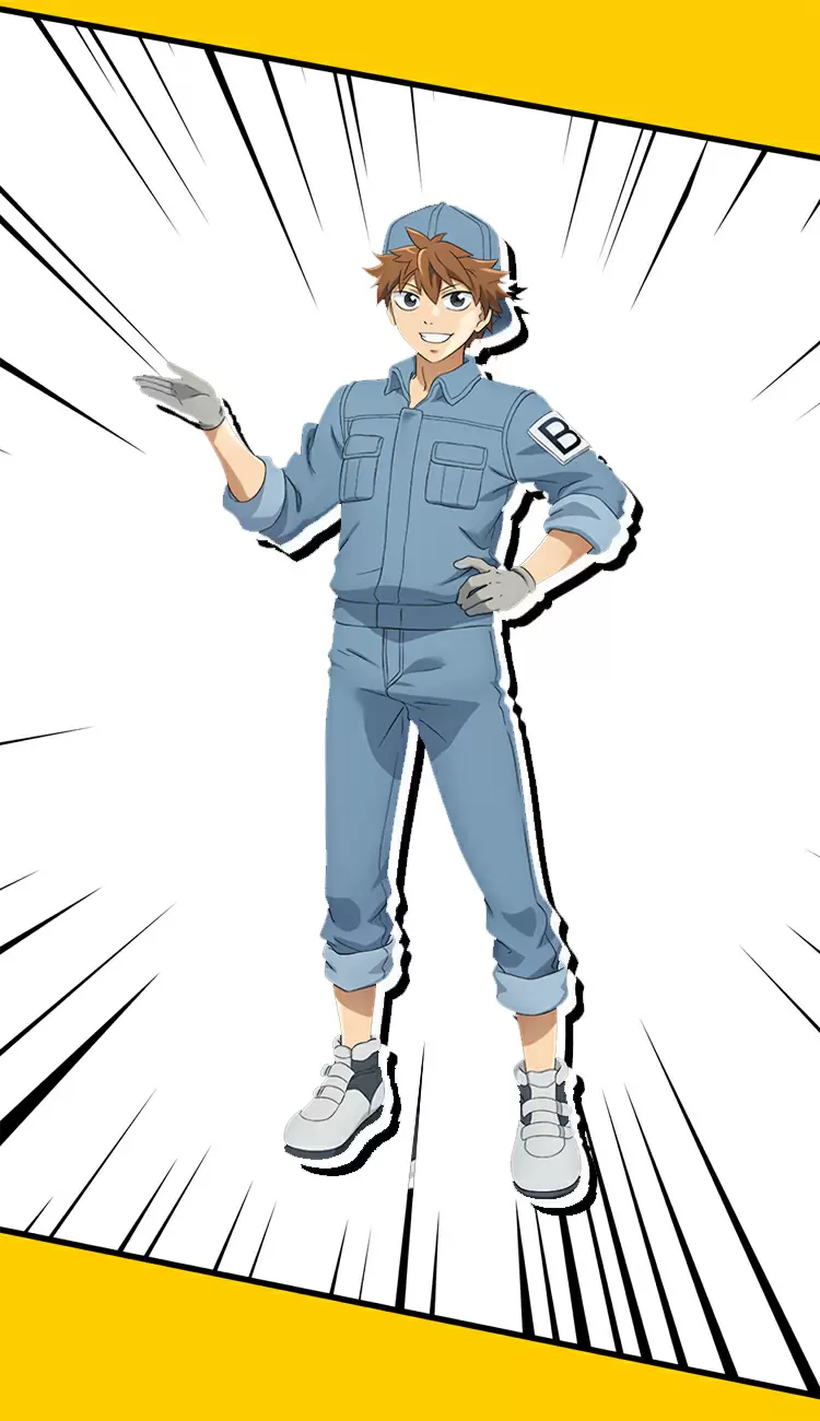 B細胞（B細胞）