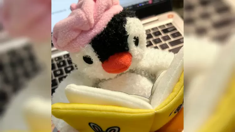 如果你要為未來的自己準備一個“時間膠囊”,你會在裡面放入什麼?