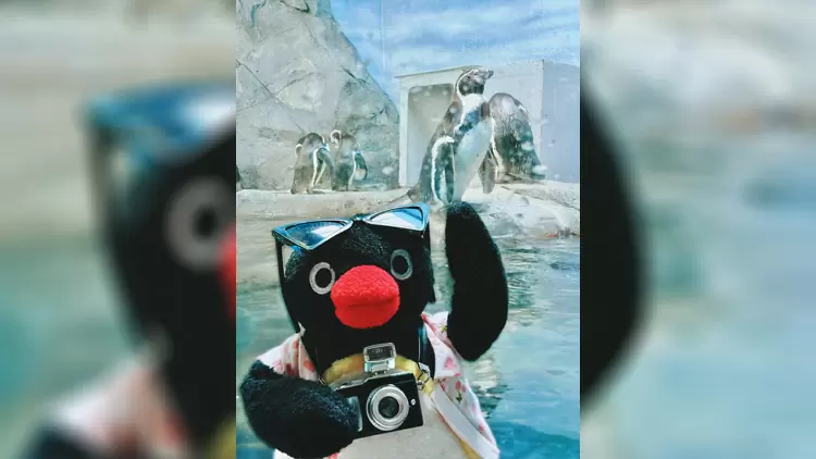 如果你要去參加戶外探險活動,你會選擇哪一個?