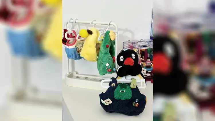 你會如何整理你的衣櫃?