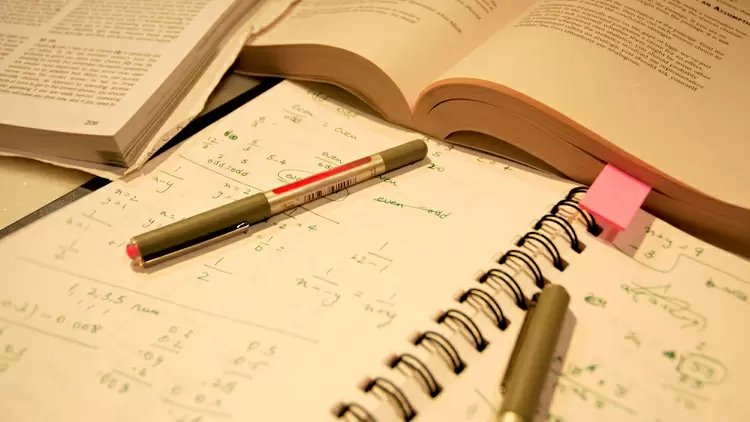 你最喜歡的學習時間是什麼時候？