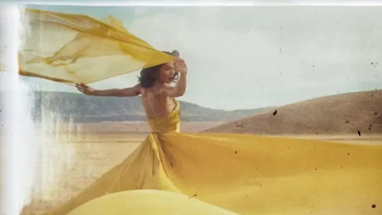 “最狂野的夢想”