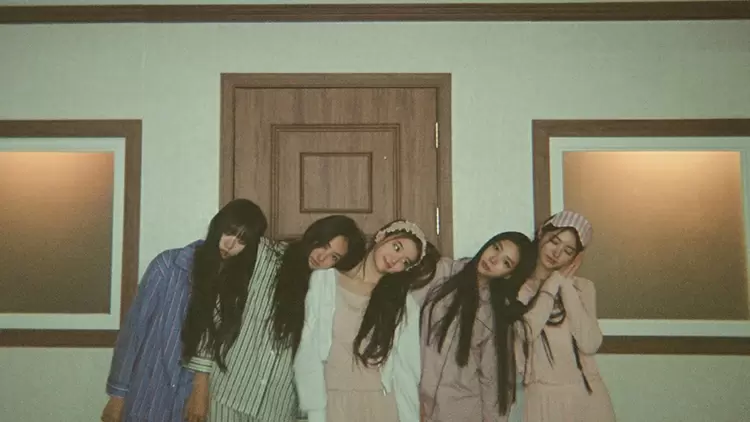 你早上醒來，發現自己變成了一隻貓。你會：