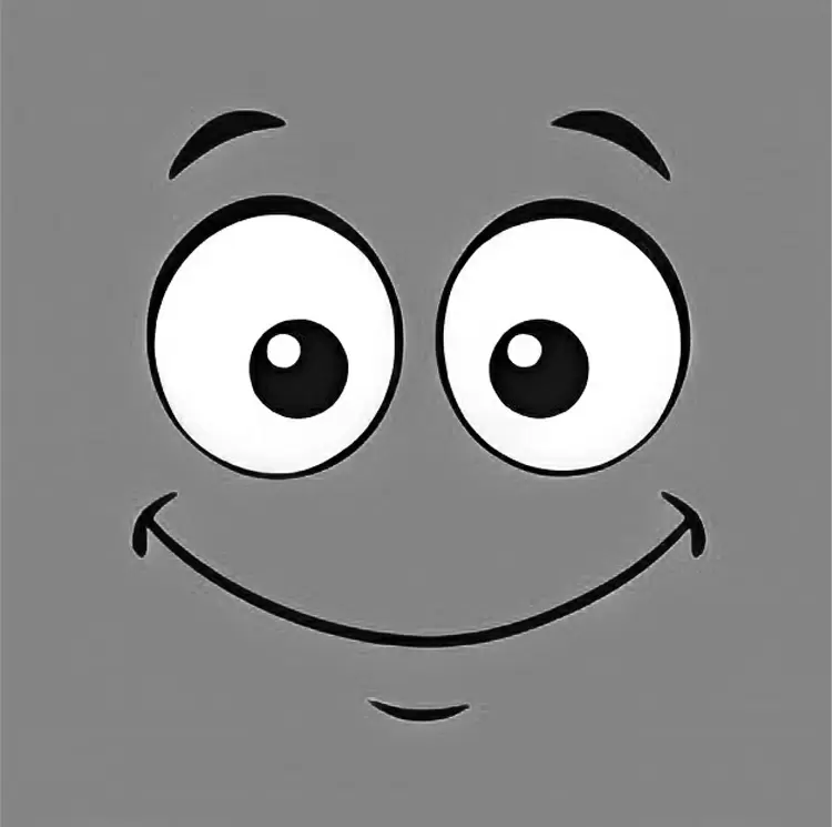 理智而分析的灰色微笑