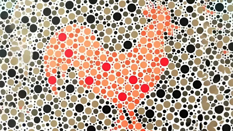 請選擇影像中顯示的動物。