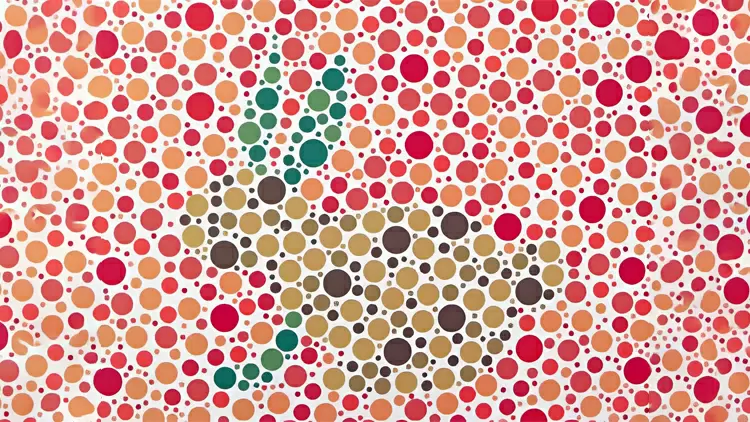 請選擇影像中顯示的動物。