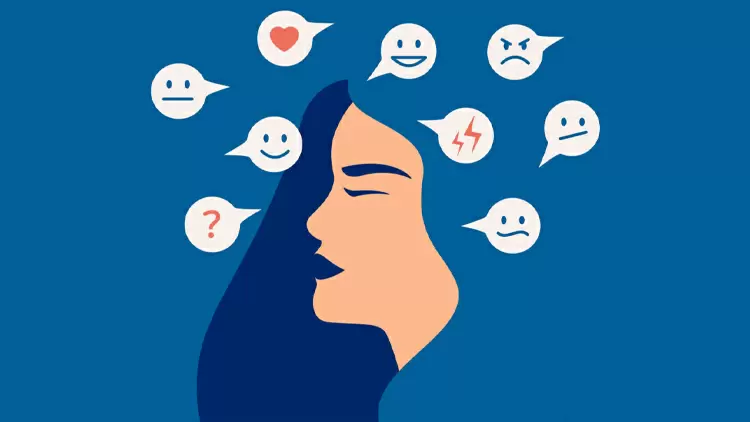 Moderate to Severe PMS Symptoms