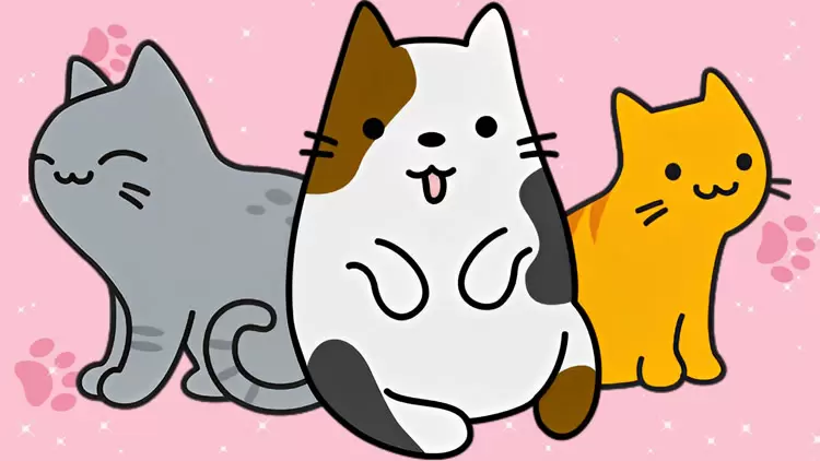 猫咪是你的完美宠物！