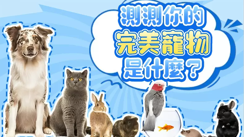 測測你的完美寵物是什麼？