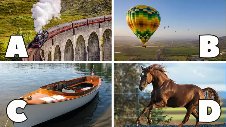 你想怎樣去那裡旅行？