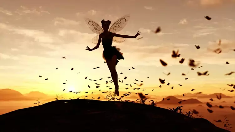 祝賀你，你是一個神奇的仙女！