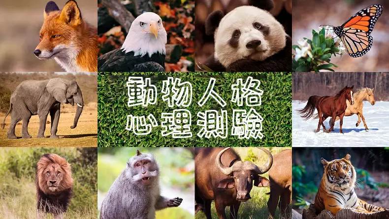 動物人格心理測驗「你的性格特質最像哪種動物」？