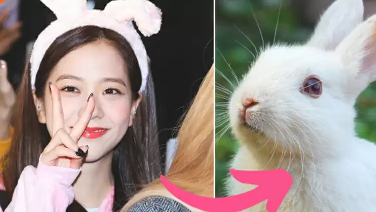 你認為哪種動物代表了你的品質?