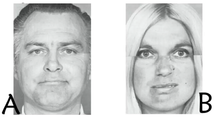 你認為這兩個人表現出了什麼樣的情緒？