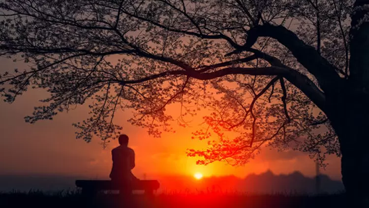 醫生說你骨折了,進行康復訓練需要一些時間。 今天,當你和你的父母在公園裏練習漫步時,你看到拉爾夫站在附近的一棵樹下。 他看到你受傷似乎很難過,因為你忽略了告訴他,而其他人都聽說過。面對拉爾夫的憤怒,你會告訴他什麼?