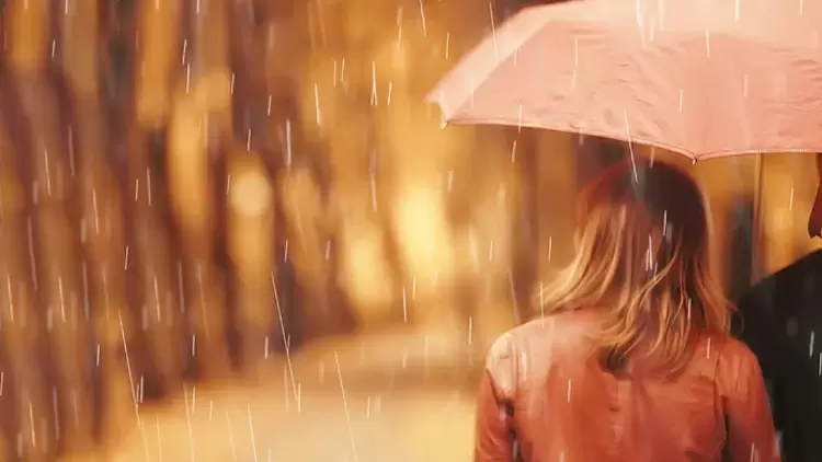 在回家的路上,天開始下雨,不知從哪裡冒出來,亞曆克西斯出現在你旁邊,為你撐傘。 你們兩個在路上一句話也沒說。 此時此刻,你會感到: