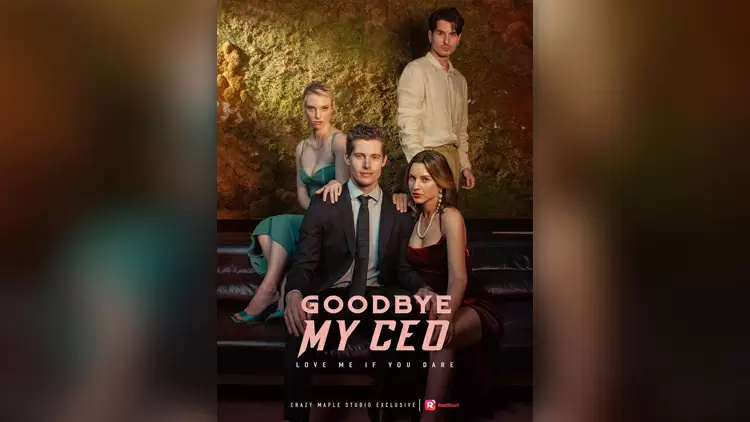 蘇菲——再見，我的首席執行官