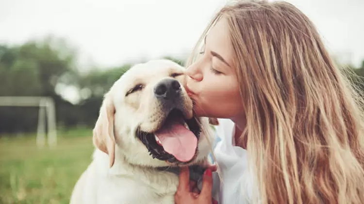 動物們非常信任你。